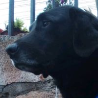 noveno.a.matutina92
