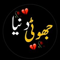 writer__abdul___haiy