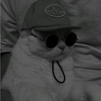 yollmslkh_
