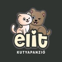 eredeti hang
