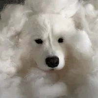 original sound - mocha.milk.us