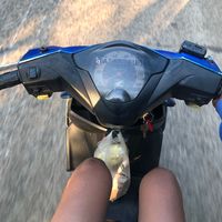 jaaaaaaaa130