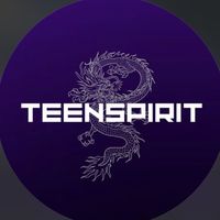 teenspirit.team