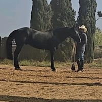 eldesantarosa