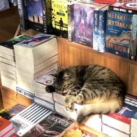 original sound - _litelove