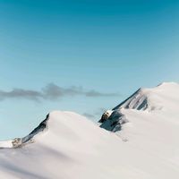 rulethetrend