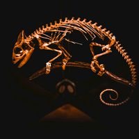 оригинальный звук