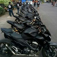 isabella._.oficial.502