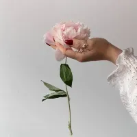 original sound - poeticasdanatureza