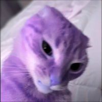 Life Goes On X Young Forever