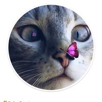 its__mee2244