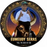 eumeudyseras