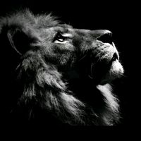 _mentalidad_positiva_