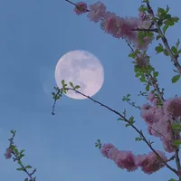 original sound - healing.song