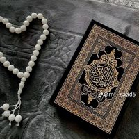 tarigahmed428