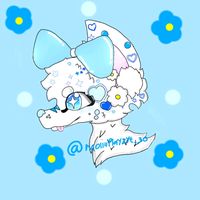 moliliplayzyt_blusy30