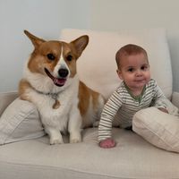 atlarchiethecorgi