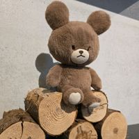 love96bear
