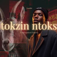 ntokzin.ntoks