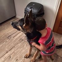 uneasyryan45