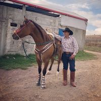 juangodinez921