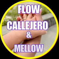 callejeroflow
