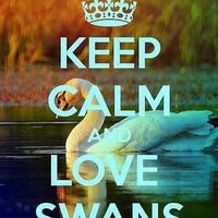 paulwest666swanpatrol