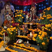 _botanicalasenorablanca