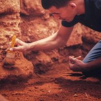 الصوت الأصلي