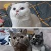 07gizemli_