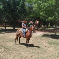 guidoluiscristald8
