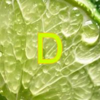dedik6965