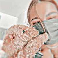 .illyaddisoft