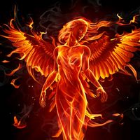 avefenix_80.2