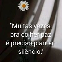 mvscar22