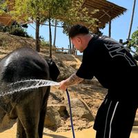 оригинальный звук