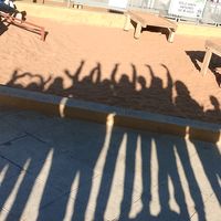 6_to_b_secundaria