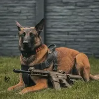 original sound - mntungwawasengoba