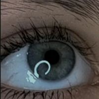cin.eva