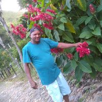 antonio_aparecido007