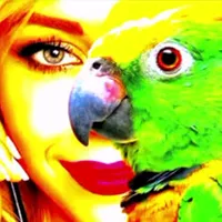 original sound - popugaaii