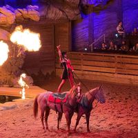 dp_stampedeperformer