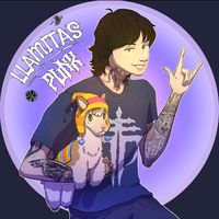 llamitaspunk
