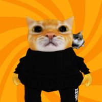 sonido original - el que no me sigue es gay 🧐🍷