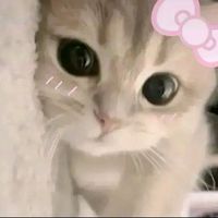 katseye.es.el.mejoru83