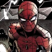spiderrr.girl