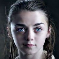 arya77782