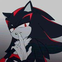sshadowswife
