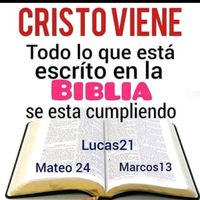 floresita.bella24