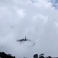 tawandang31